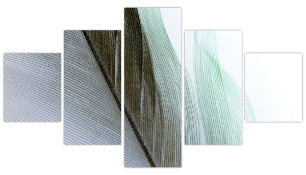 Obraz - Peří, makro (125x70 cm)