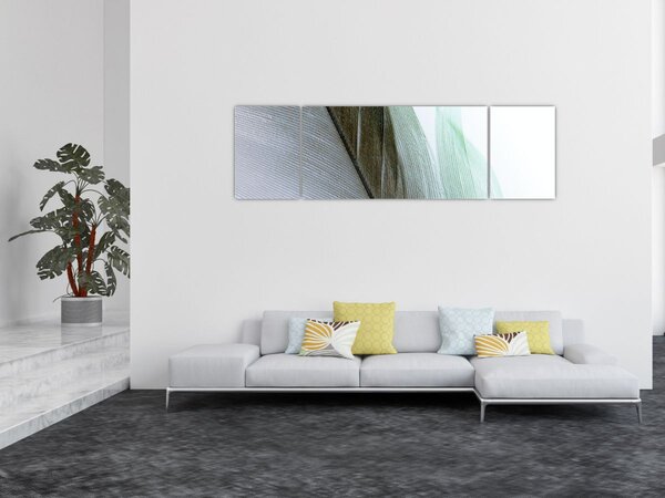 Obraz - Peří, makro (170x50 cm)