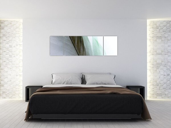 Obraz - Peří, makro (170x50 cm)
