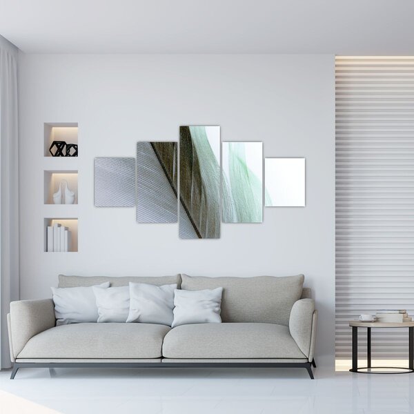 Obraz - Peří, makro (125x70 cm)