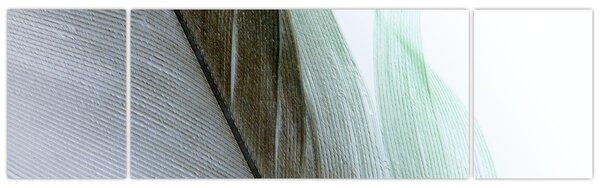 Obraz - Peří, makro (170x50 cm)