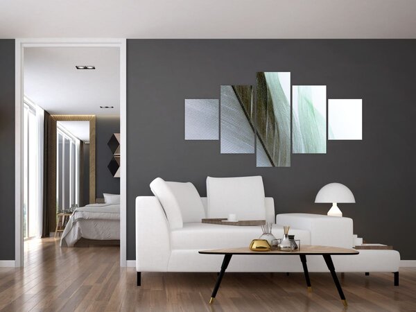 Obraz - Peří, makro (125x70 cm)