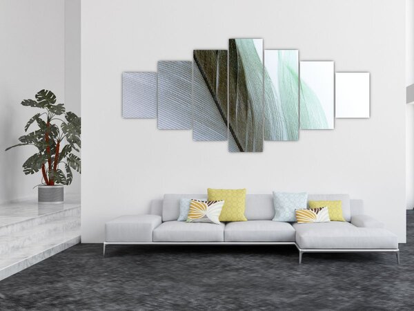 Obraz - Peří, makro (210x100 cm)
