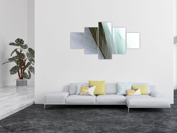 Obraz - Peří, makro (125x70 cm)