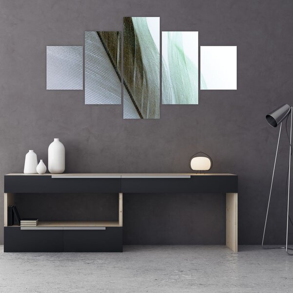 Obraz - Peří, makro (125x70 cm)