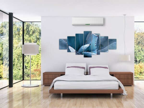 Obraz - Agáve (210x100 cm)