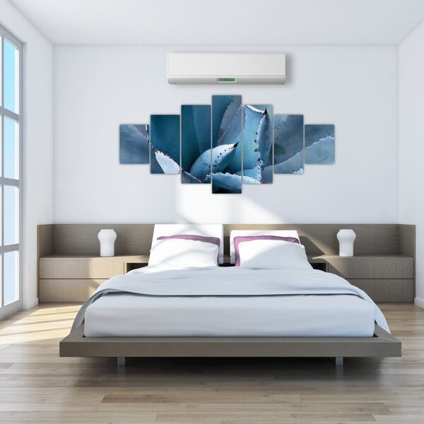 Obraz - Agáve (210x100 cm)