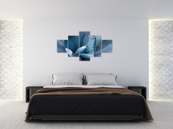 Obraz - Agáve (125x70 cm)