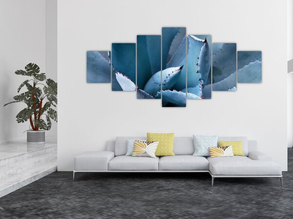 Obraz - Agáve (210x100 cm)