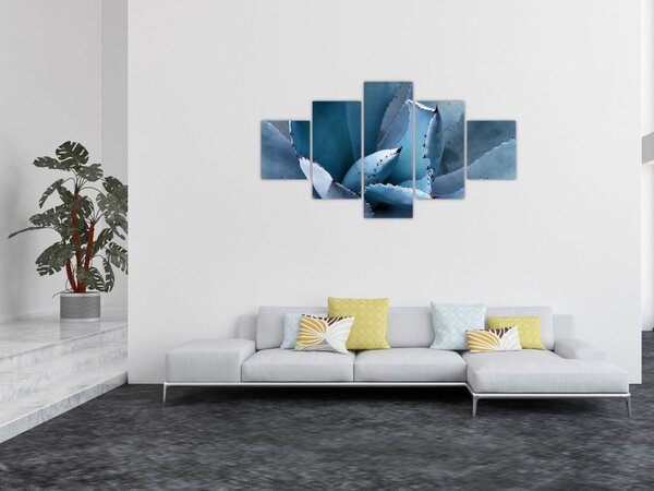Obraz - Agáve (125x70 cm)