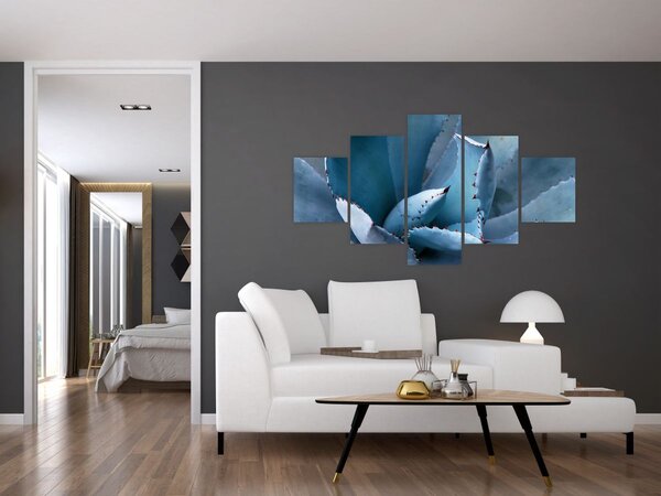 Obraz - Agáve (125x70 cm)