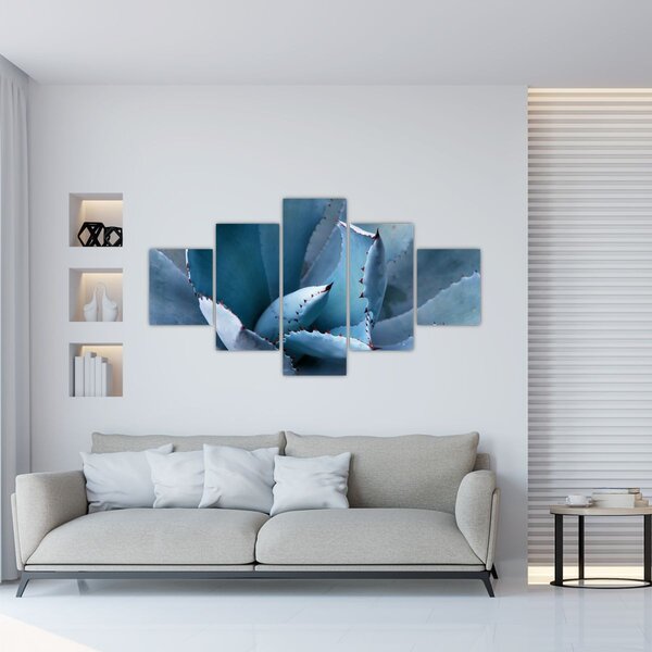 Obraz - Agáve (125x70 cm)