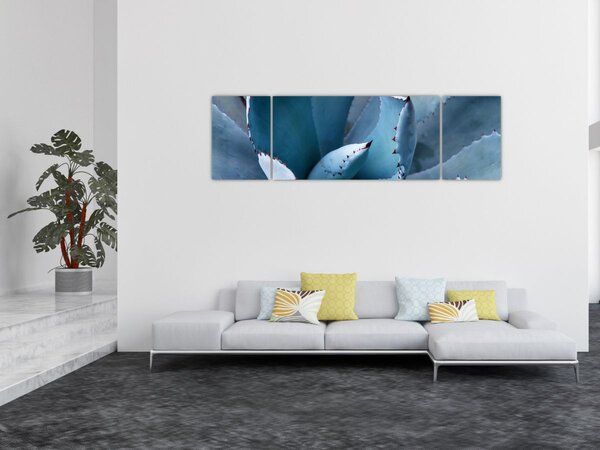 Obraz - Agáve (170x50 cm)