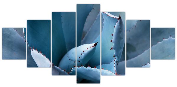 Obraz - Agáve (210x100 cm)