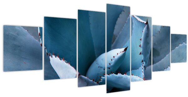 Obraz - Agáve (210x100 cm)