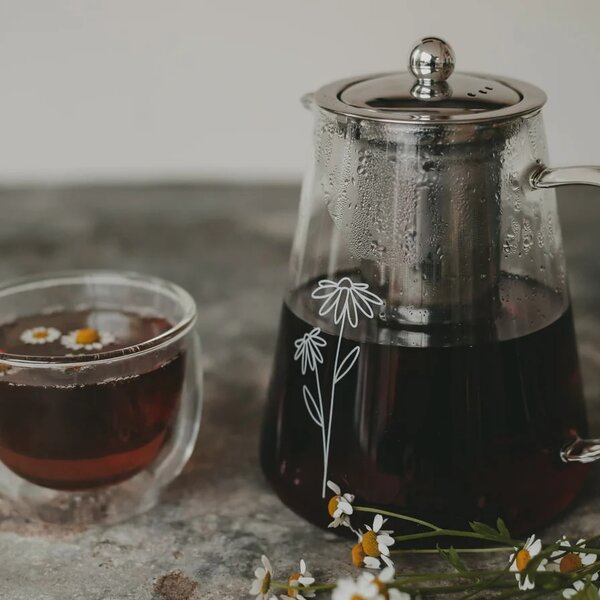 Konvice na čaj s nerezovým sítkem Daisy 1,2 l