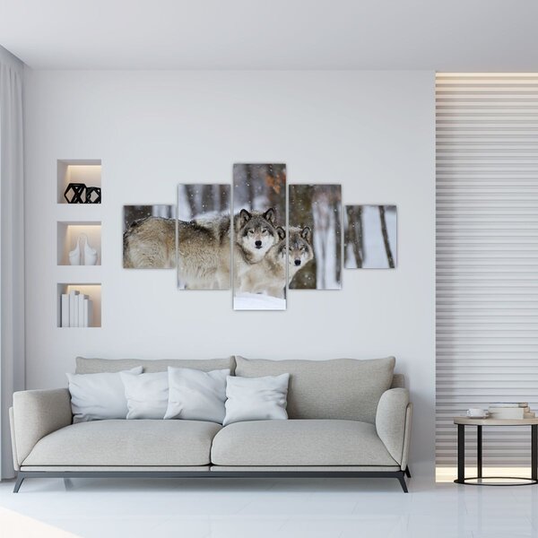 Obraz - Vlci v zimě (125x70 cm)