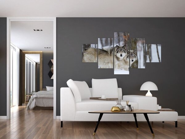 Obraz - Vlci v zimě (125x70 cm)