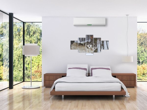 Obraz - Vlci v zimě (125x70 cm)