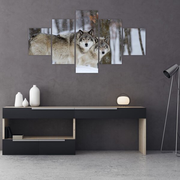 Obraz - Vlci v zimě (125x70 cm)