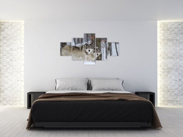 Obraz - Vlci v zimě (125x70 cm)