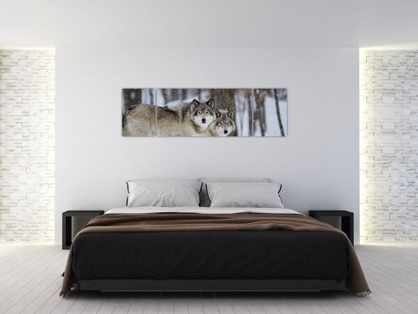 Obraz - Vlci v zimě (170x50 cm)