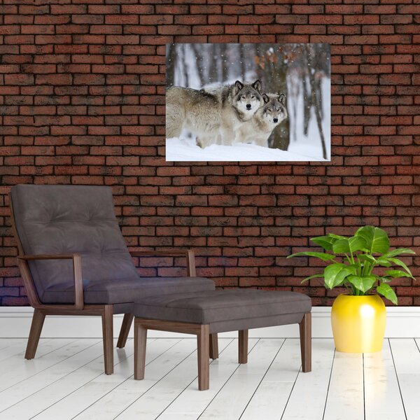 Obraz - Vlci v zimě (70x50 cm)