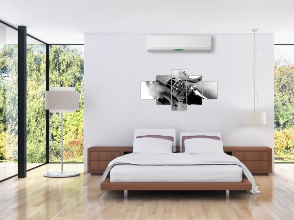 Obraz - Housle (125x70 cm)