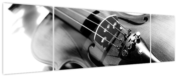 Obraz - Housle (170x50 cm)