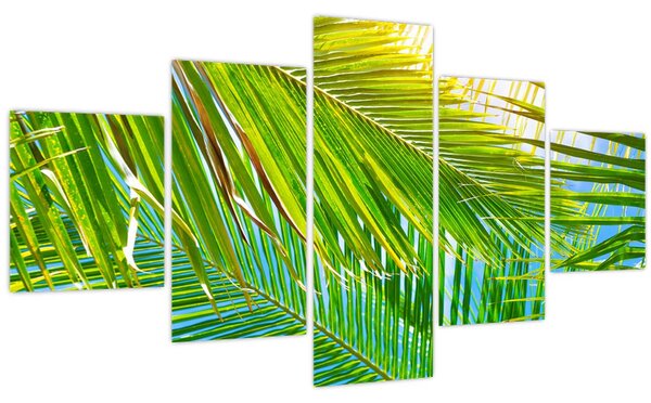 Obraz - Palmové listy (125x70 cm)
