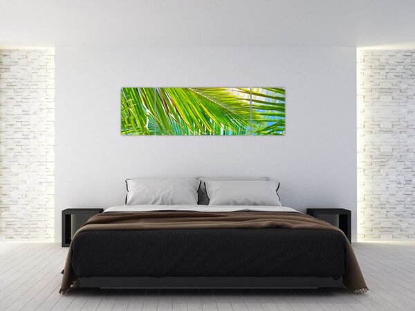 Obraz - Palmové listy (170x50 cm)