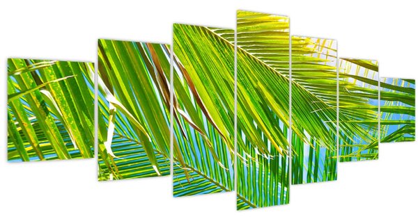 Obraz - Palmové listy (210x100 cm)