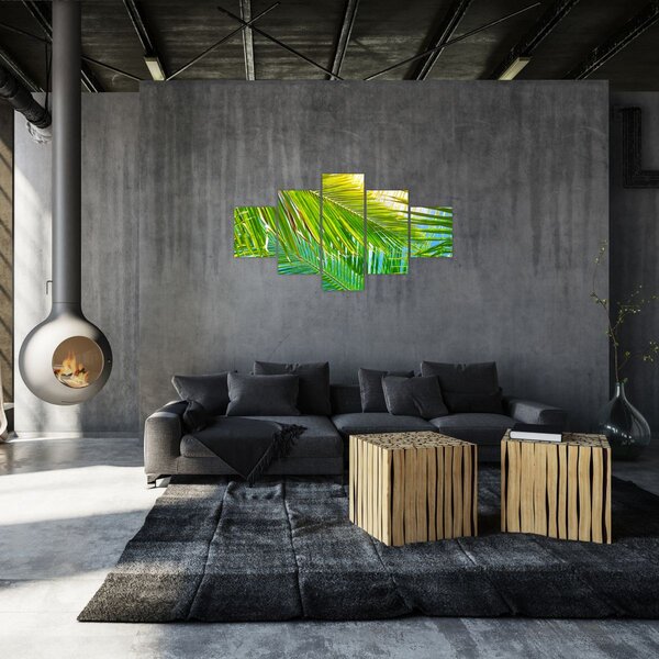 Obraz - Palmové listy (125x70 cm)