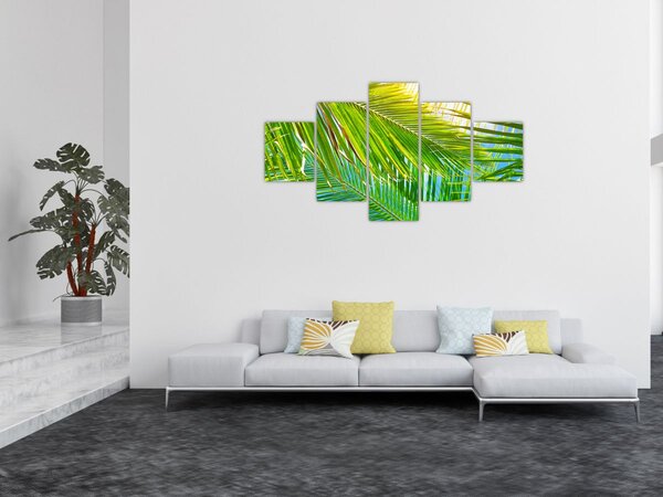 Obraz - Palmové listy (125x70 cm)