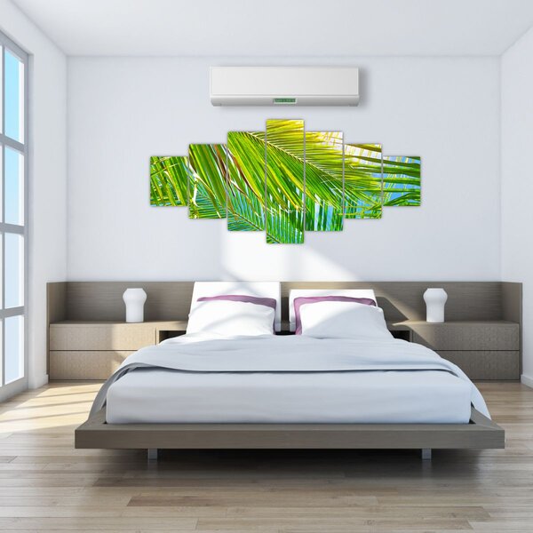 Obraz - Palmové listy (210x100 cm)