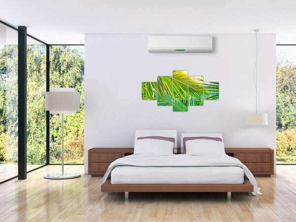 Obraz - Palmové listy (125x70 cm)
