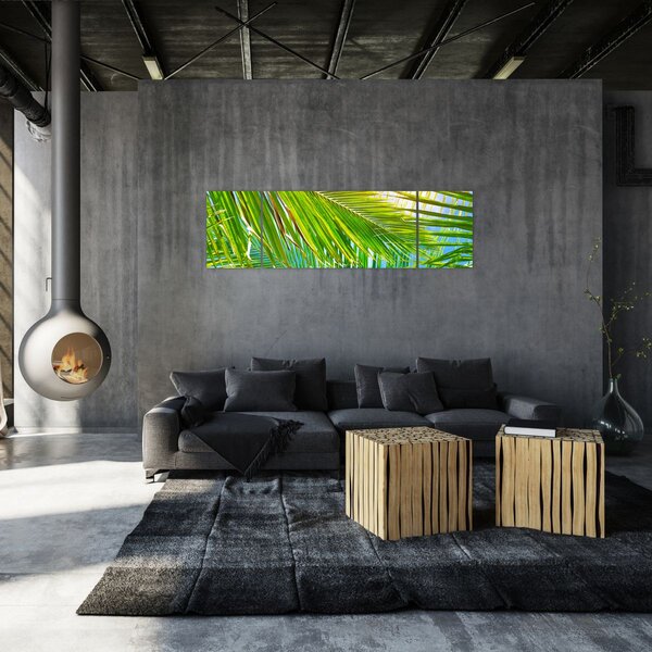 Obraz - Palmové listy (170x50 cm)