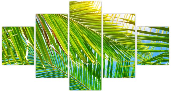 Obraz - Palmové listy (125x70 cm)