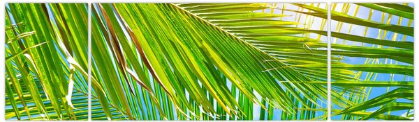 Obraz - Palmové listy (170x50 cm)