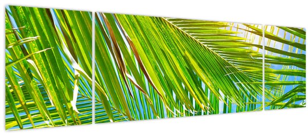 Obraz - Palmové listy (170x50 cm)