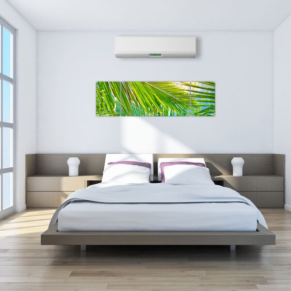 Obraz - Palmové listy (170x50 cm)
