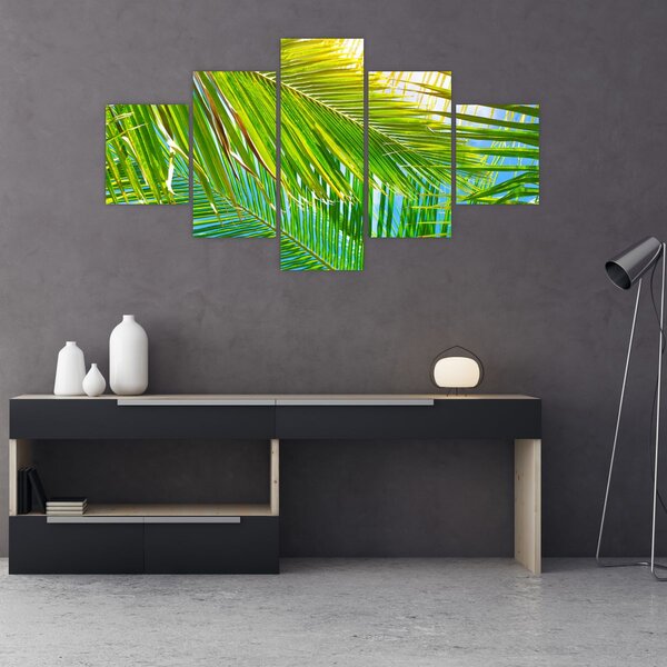 Obraz - Palmové listy (125x70 cm)