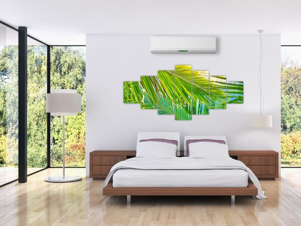 Obraz - Palmové listy (210x100 cm)