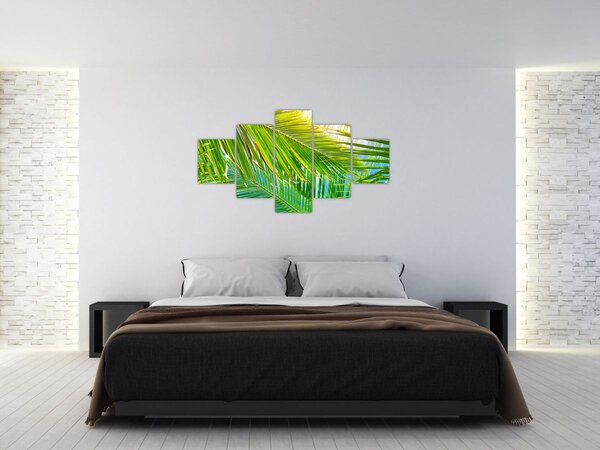 Obraz - Palmové listy (125x70 cm)