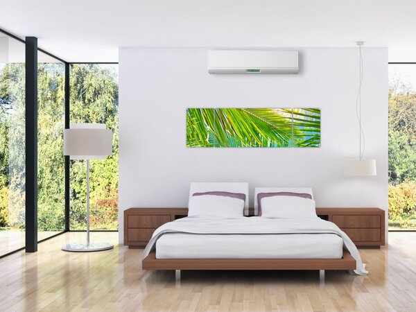 Obraz - Palmové listy (170x50 cm)