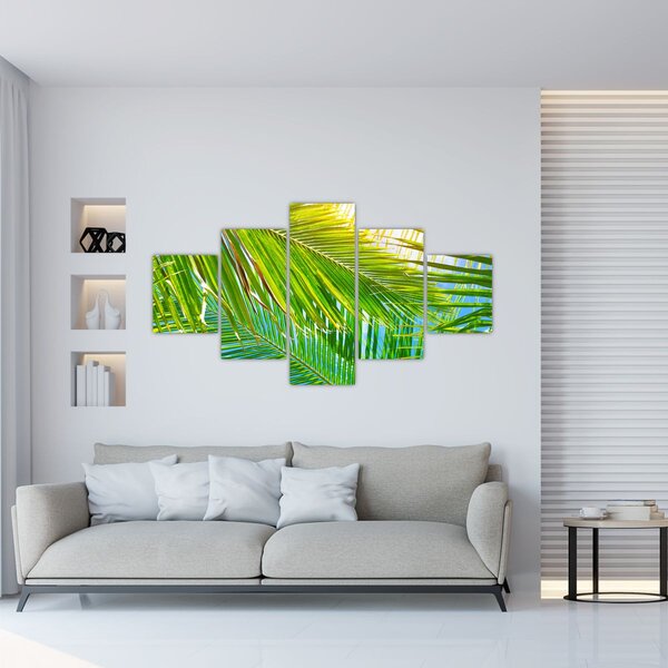 Obraz - Palmové listy (125x70 cm)