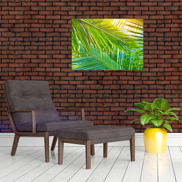 Obraz - Palmové listy (70x50 cm)