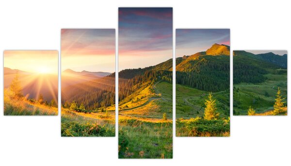 Obraz - Letní krajina (125x70 cm)
