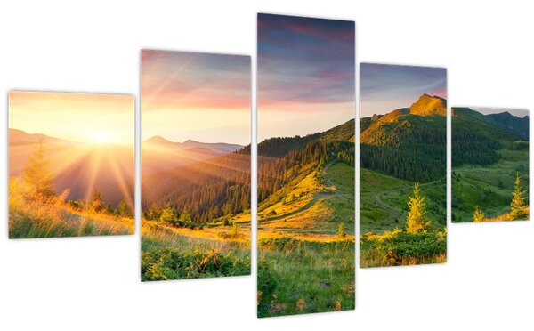 Obraz - Letní krajina (125x70 cm)