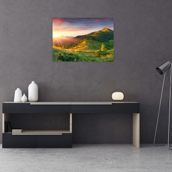 Obraz - Letní krajina (70x50 cm)